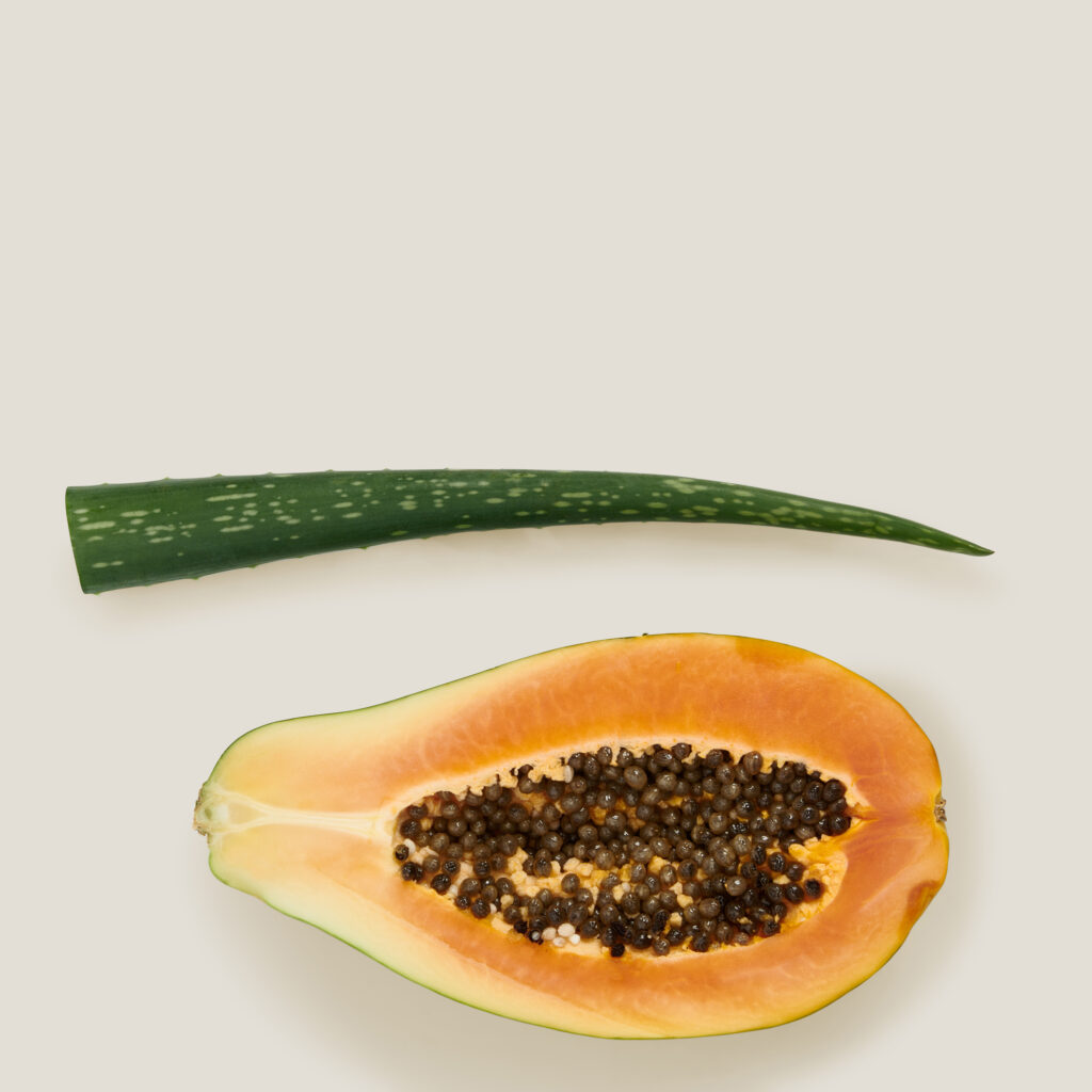 Eine Passionsfrucht und ein Blatt der Aloe Vera